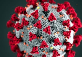 COVID-19 Day of Reflection to commemorate those lost during pandemic
