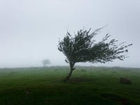 Storm Noa will bring strong winds, rain and disruption today