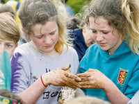 Wormcharming festival hailed as a success
