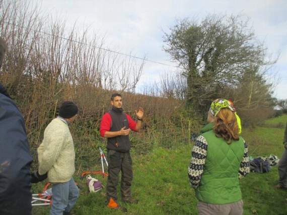 Wood Fuel Hub project steps up a gear with workshop in Slapton next Tuesday