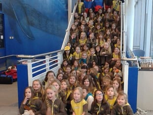 Brownies get to sleep with the fishes during night time adventure at Plymouth's National Marine Aquarium