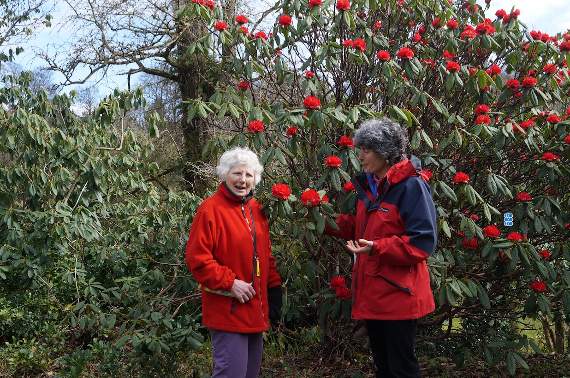 St Luke's comes to Lukesland for charity garden opening