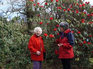 St Luke's comes to Lukesland for charity garden opening