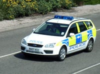 South Hams shoppers eschew five finger discount with lowest retail crime rate