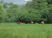 Businesses on the Two Moors Way and Erme-Plym Trail offered help to capitalise on 'growing number' of walkers