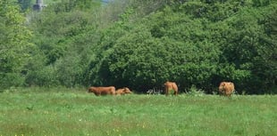 Businesses on the Two Moors Way and Erme-Plym Trail offered help to capitalise on 'growing number' of walkers