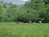 Businesses on the Two Moors Way and Erme-Plym Trail offered help to capitalise on 'growing number' of walkers