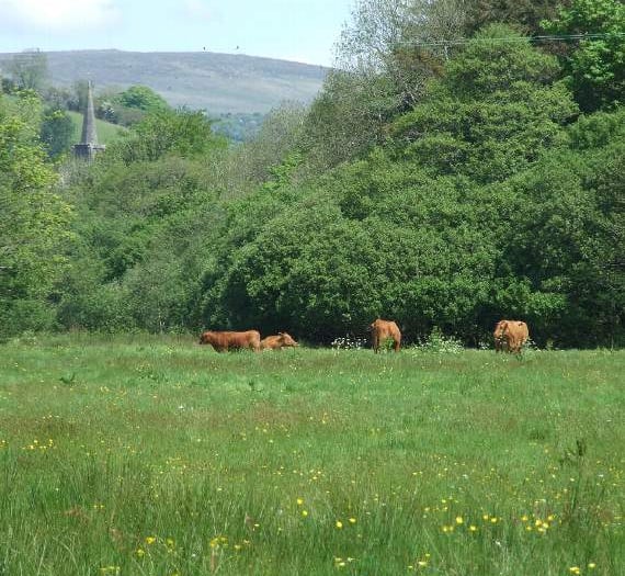 Businesses on the Two Moors Way and Erme-Plym Trail offered help to capitalise on 'growing number' of walkers