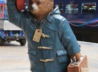 Wanted: Travel companion for train journey to Cheltenham