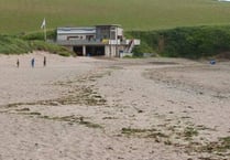 Private beaches might lose their subsidised lifeguards