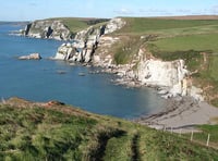 'Snakes, smugglers and seaweed' at Ayrmer Cove with Dangerous Dads
