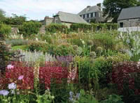 A rare chance to see Mothecombe gardens for Mother's Day