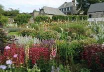 A rare chance to see Mothecombe gardens for Mother's Day
