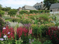 A rare chance to see Mothecombe gardens for Mother's Day