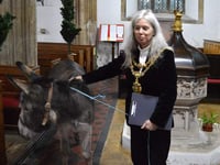 Senior Devon Green Party politician faces donkey welfare charge