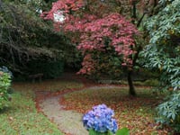Mansion on the edge of the moor opens its gates for the best of autumn colour this weekend