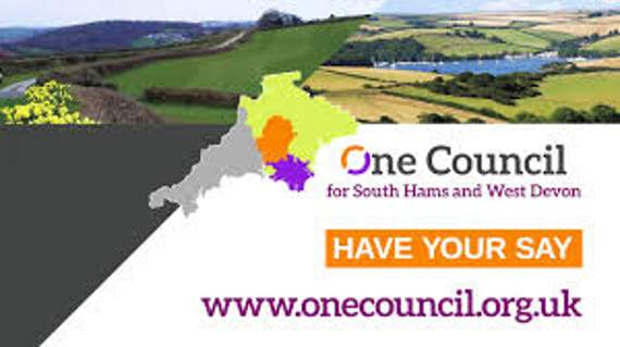 Councillors disappointed with merger survey turnout