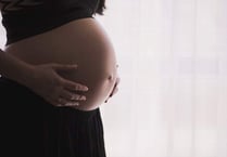 Pregnant women in the South Hams are being urged to get the flu vaccine