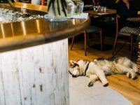 Health and safety gone mad – or common sense?