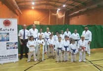 Dojo looks to build from firm foundations following sponsorship