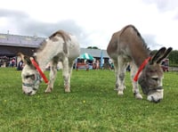 Open Day Proves Popular with Visitors