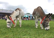 Open Day Proves Popular with Visitors