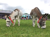 Open Day Proves Popular with Visitors
