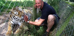 Badgers blamed for zoo TB outbreaks