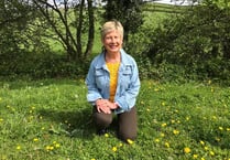 Woman celebrates 70th birthday with wing walk