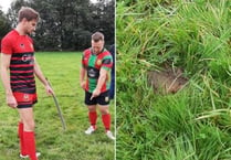 Dartmouth rugby players fuming about dog poo on pitch