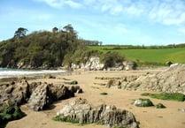 Warning to swimmers to steer clear
