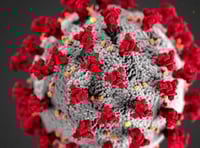 Virus figures show good news for the South Hams and Devon as a whole