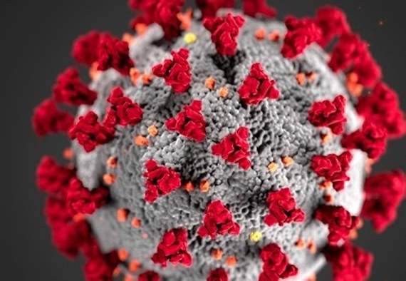 Virus figures show good news for the South Hams and Devon as a whole