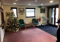 Elf 'n' safety fears over Christmas tree