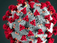 Latest virus-related death figures released