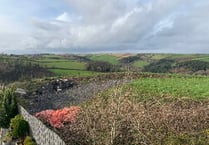 Developer who destroyed woodland could avoid prosecution