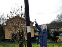 Residents complain about "ugly" poles