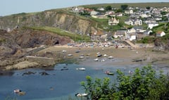 ‘Beautiful walks’for the weekend in the South Hams 