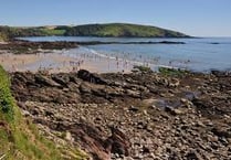 Wembury beach sewage warning