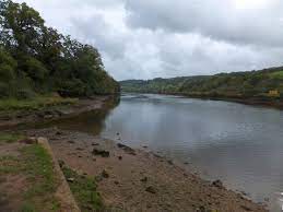 Longmarsh in Totnes
