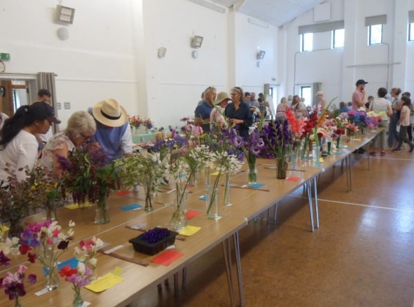 Cut flowers at Rattery Show 2019
