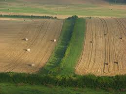 Farmland