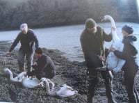 Tributes paid to ornithologist Barrie Whitehall 