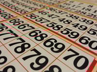 Dartmouth's Nigel Sharp organises charity bingo night 