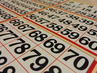 Dartmouth's Nigel Sharp organises charity bingo night 