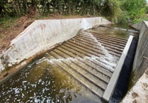 Fish weir scheme finishes on time