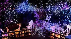 Recycle Devon advent calendar launched