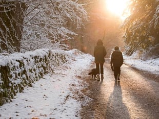 Woodland Trust recommended walks