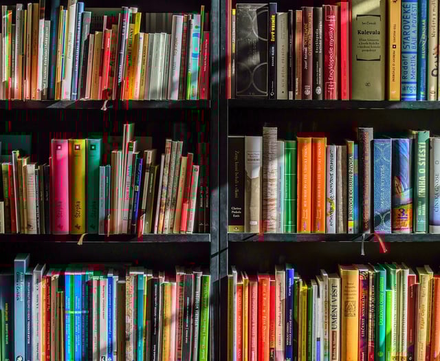 Ivybridge library celebrates Christmas
