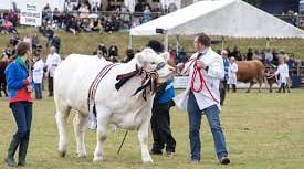Big plans afoot for Devon County Show 2023